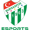 Bursaspor Esports Academy