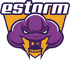 E-STORM