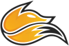 Echo Fox Academy