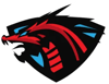 Flowenz Esports