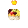 Super Sunshine Fruit Basket Warriors
