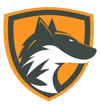 Team DeftFox