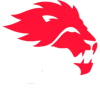 York University