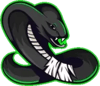 Black Vipers eSports
