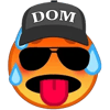 Domme Jongens