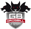 Grosbill E-Sport