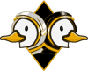 The Astroducks