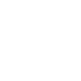 WSG
