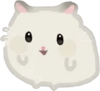 Hamster
