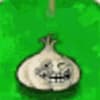 Onions On Sale