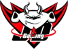 JD Gaming