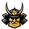 Ronin Esports