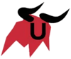 Unique Team