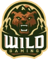 Wild Gaming