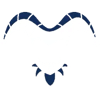 Blue Joker