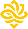 Legacy Legacy