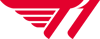 T1