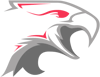 Dark Sided