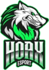 HOAX esports