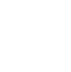 Salamander