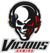 Vicious Gaming