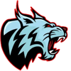 ice force esports academy