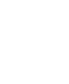 Big GOOSE