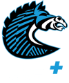 BS+COMPETITION