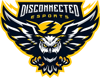 Disconnected Esports