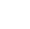 X13