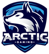 Arctic Gaming Arctic Gaming