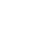 Cyber Wolves Light