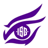 Insight Gaming