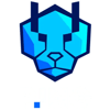 PING Cheetahs