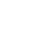 Shopify Rebellion GC