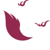 CSU
