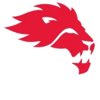 York University