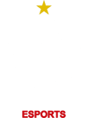 Flamengo Esports