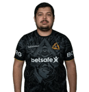 lineko