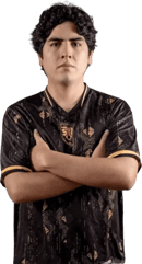 Leostyle-