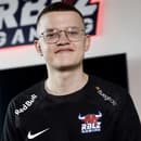 levyfinn