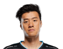 WildTurtle