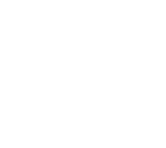 THE POKAL 2024