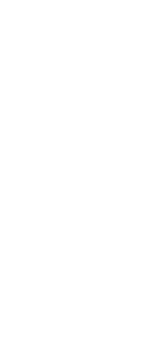 BLAST Slam V