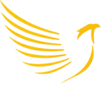 PROJECT MAJOR