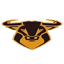 Gold Bull Horns