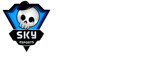 Skyesports League 2020
