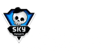 Skyesports League 2021