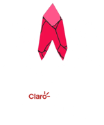 Stars Cup 2021