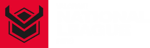 Valorant National League 2022